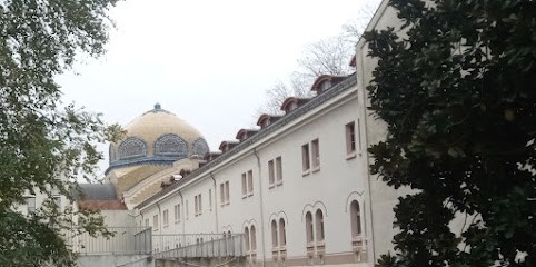 Parking des Dômes, Parking à Vichy
