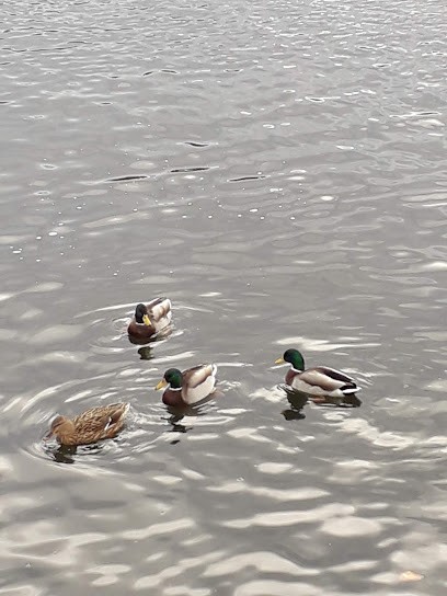 Yespark, Parking à Plaisir